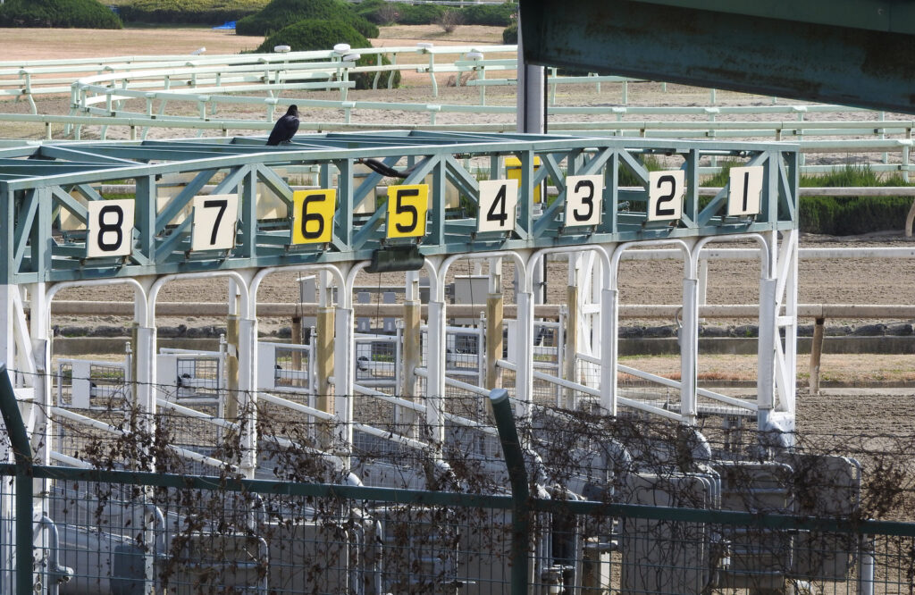 競馬の借金は自己破産するしかない?3つの債務整理方法と手続きのポイントを解説